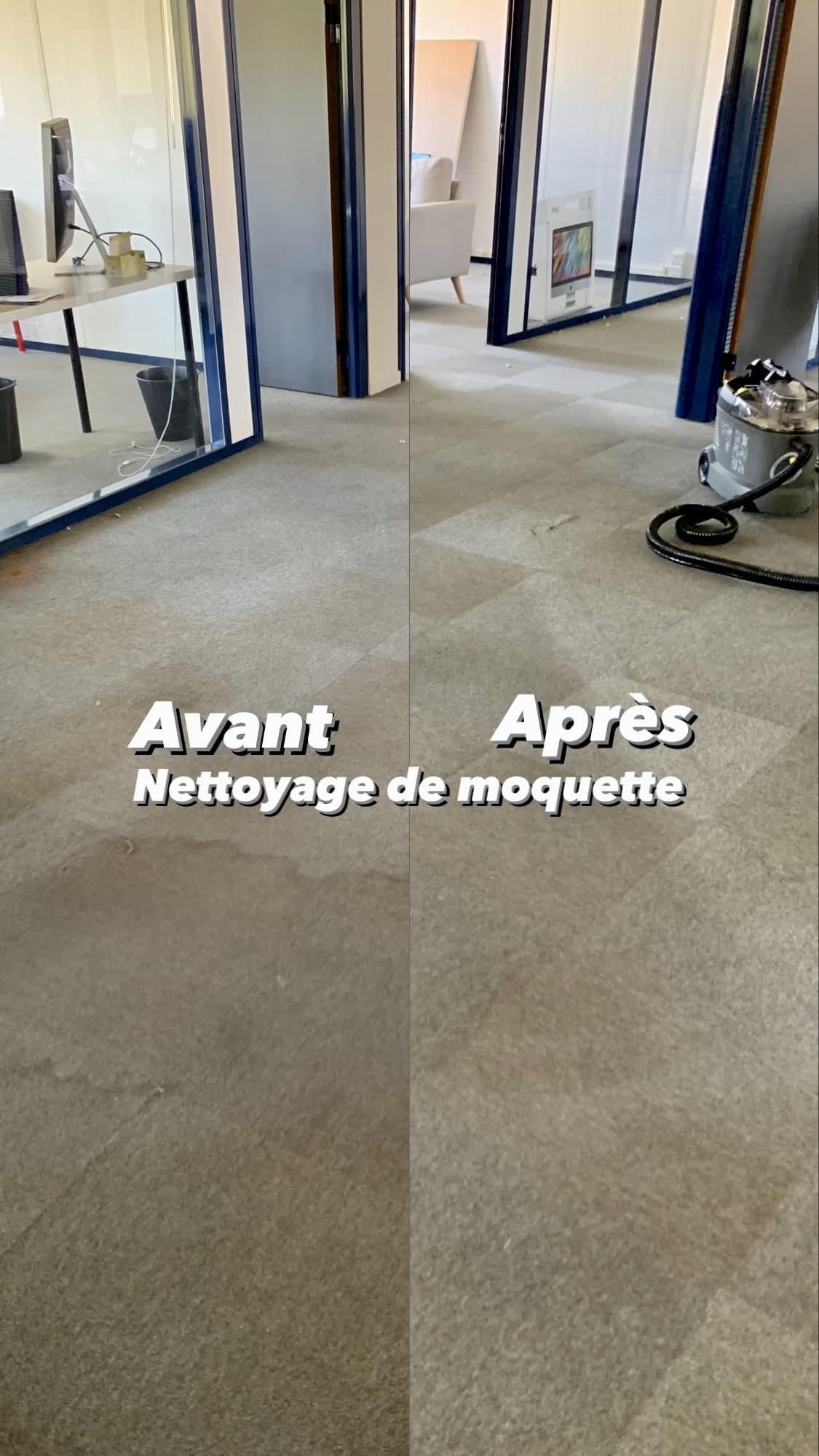 nettoyage tapis